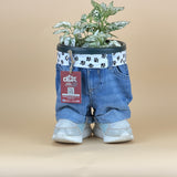 STANDING DUDETTE
