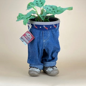 STANDING DUDE