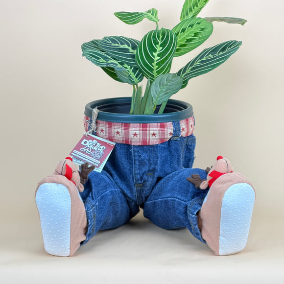 SITTING OPEN LEGS DUDE