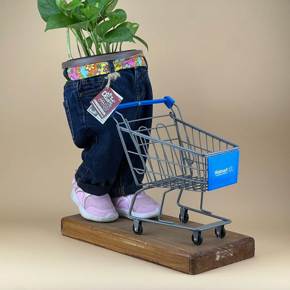 SHOPPING CART DUDETTE