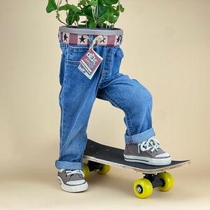 SKATER DUDE