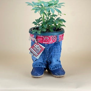 STANDING DUDE