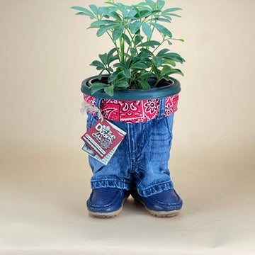 STANDING DUDE