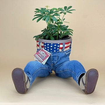 SITTING OPEN LEGS DUDE