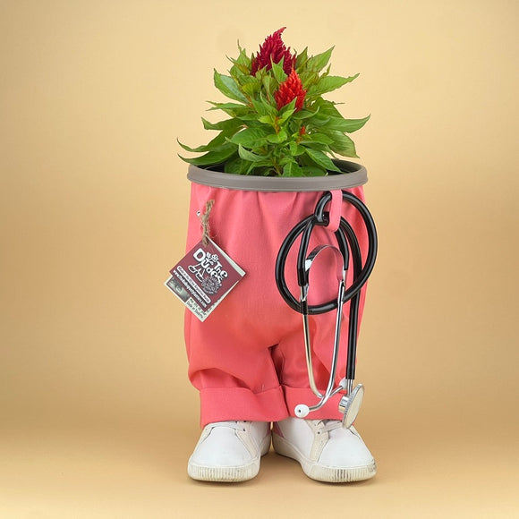 DR./NURSE DUDE