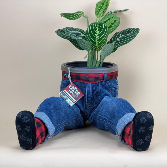 SITTING OPEN LEGS DUDE