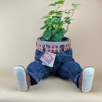 SITTING OPEN LEGS DUDE