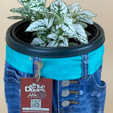 STANDING DUDETTE