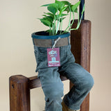 DUDE ON FENCE WITH SOLAR LAMP