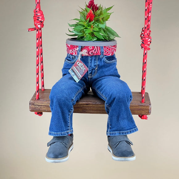 SWING DUDE