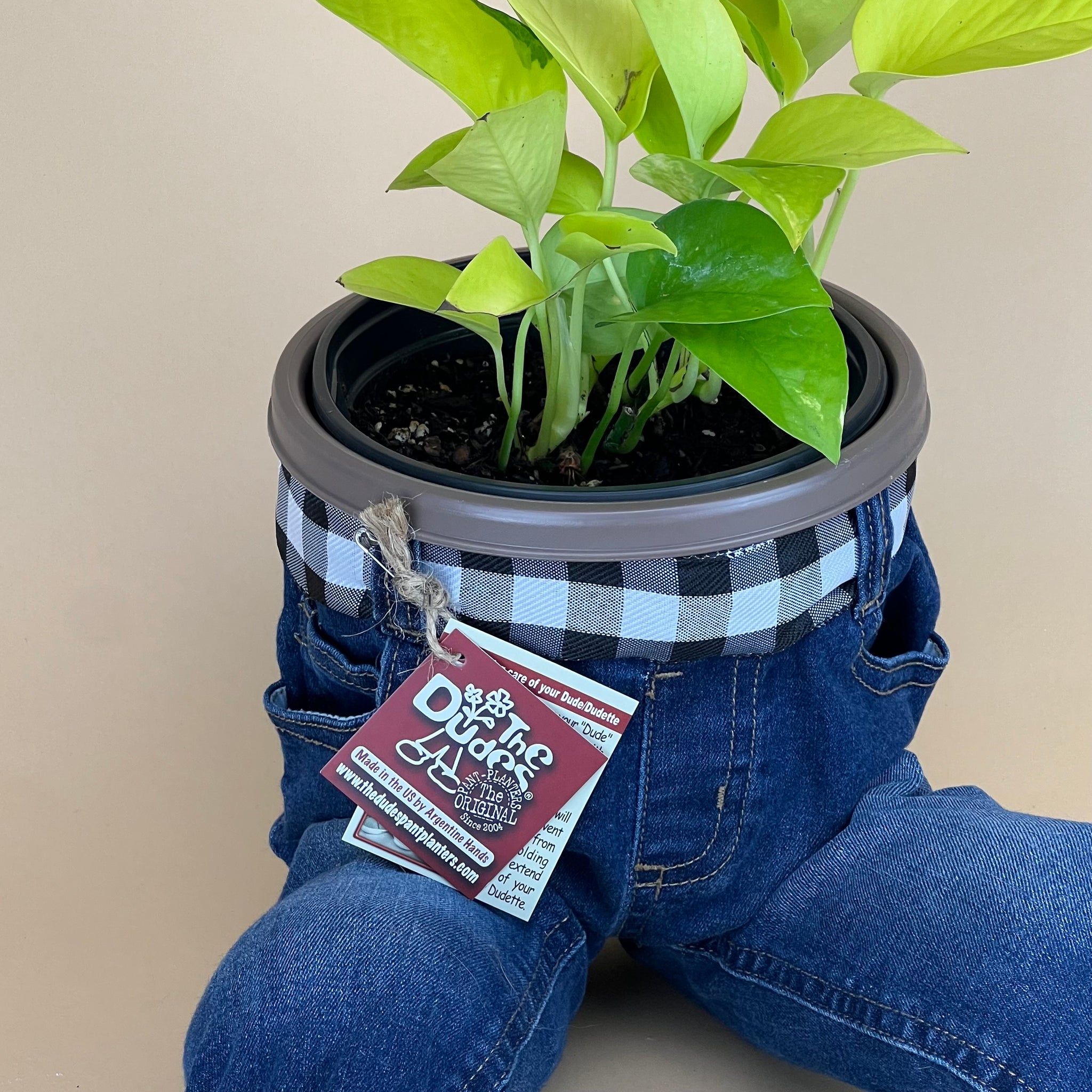 SITTING OPEN LEGS DUDE – The Dudes Pant-Planters